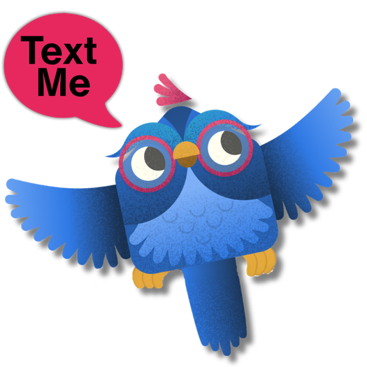 Text Ardi