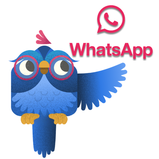 Contact Ardi on WhatsApp